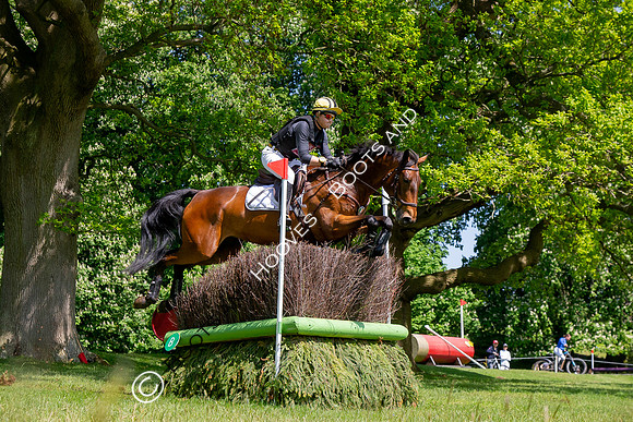 Houghton International
