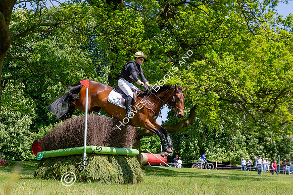 Houghton International