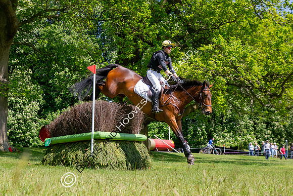 Houghton International