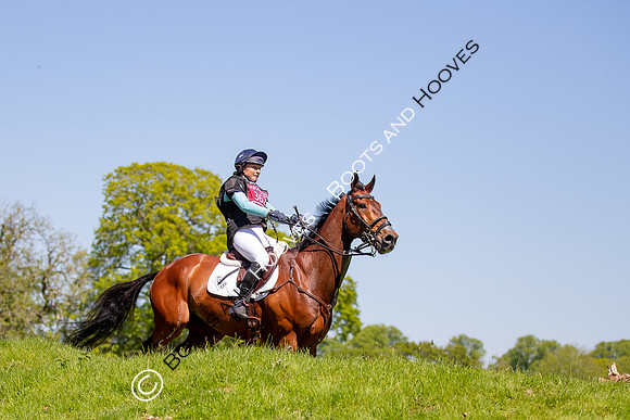Houghton International