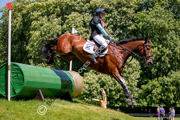 Houghton International