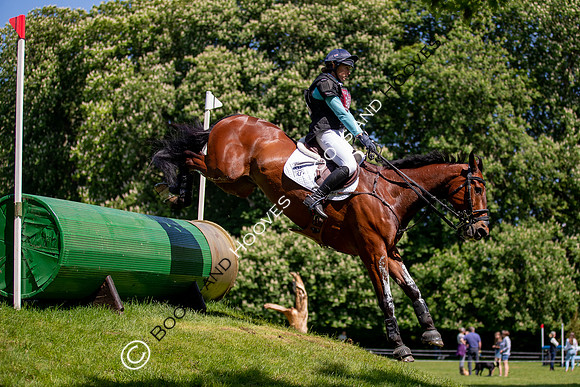 Houghton International