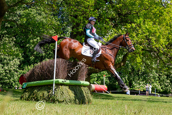 Houghton International