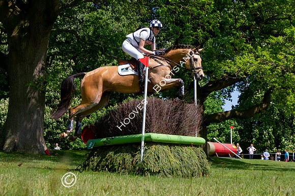 Houghton International
