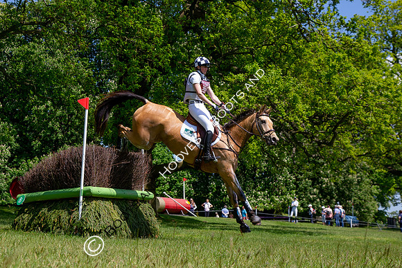 Houghton International