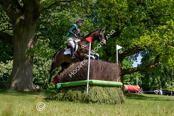 Houghton International
