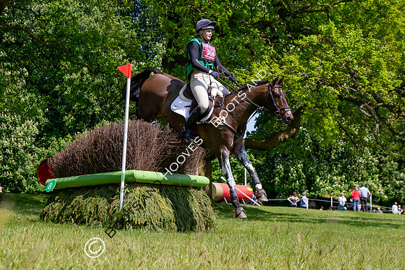 Houghton International
