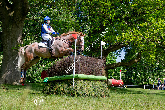 Houghton International