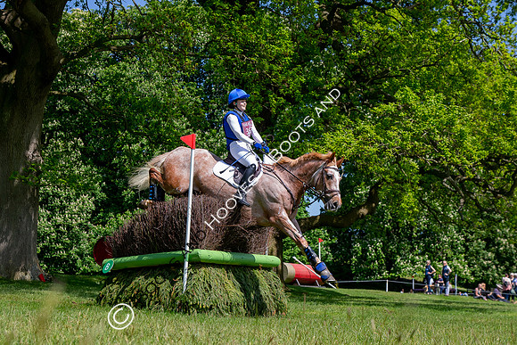 Houghton International