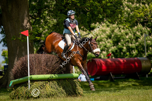 Houghton International