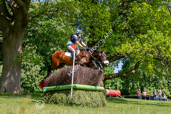 Houghton International