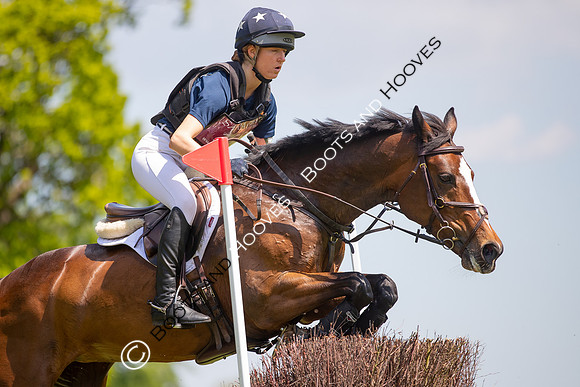 Houghton International