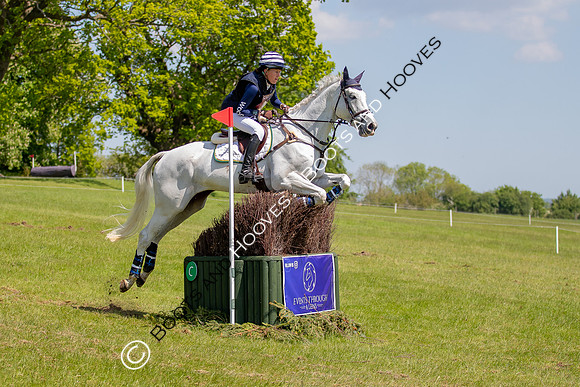 Houghton International
