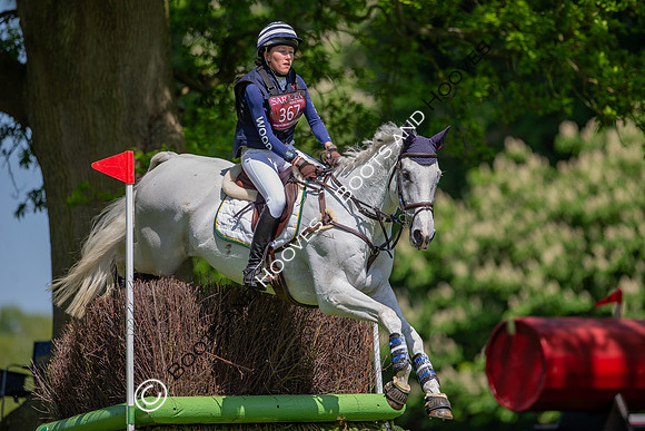 Houghton International