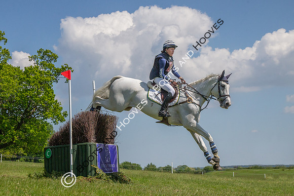Houghton International