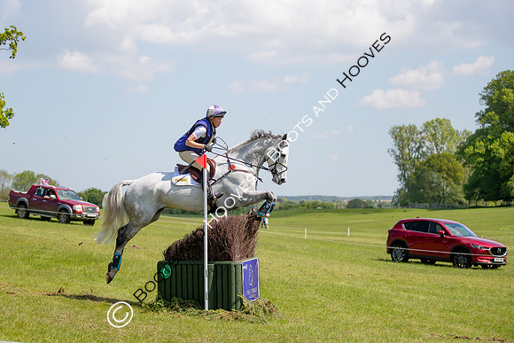 Houghton International