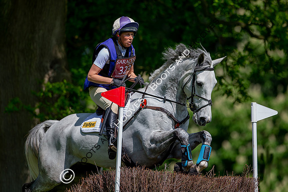 Houghton International
