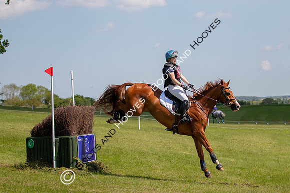 Houghton International