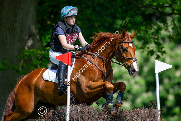 Houghton International