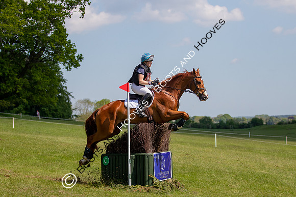 Houghton International