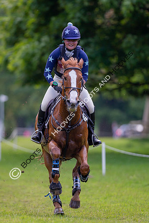 Houghton International