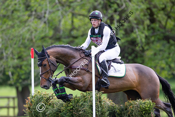 Houghton International
