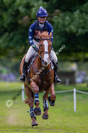 Houghton International