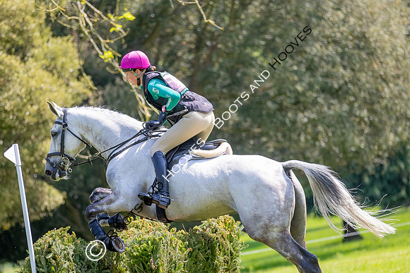 Houghton International
