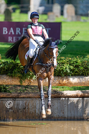 Houghton International