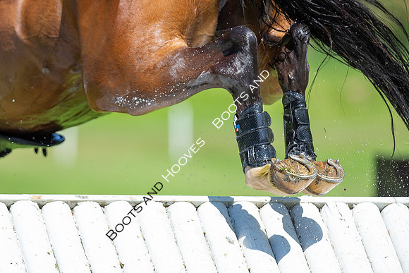 Houghton International