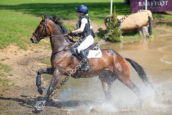 Houghton International