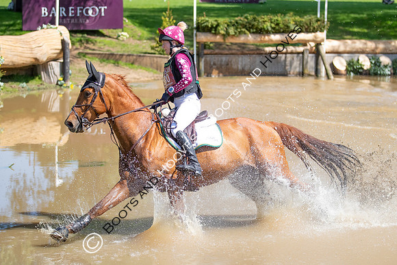 Houghton International