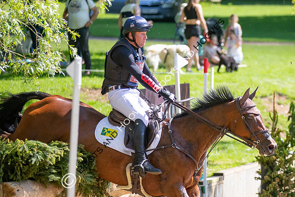 Houghton International