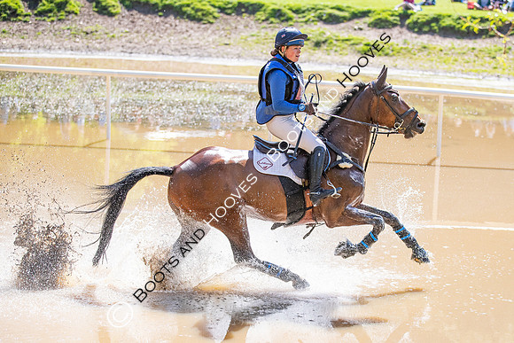 Houghton International