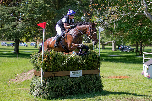 Houghton International