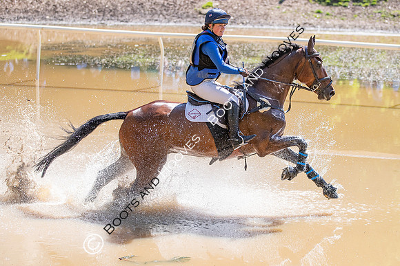 Houghton International