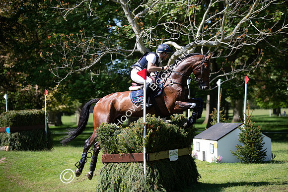Houghton International