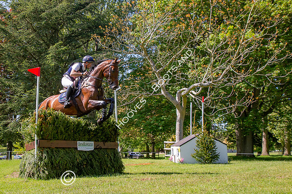 Houghton International
