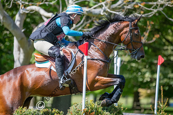 Houghton International