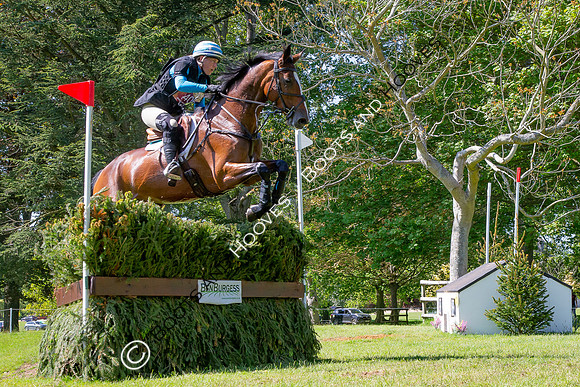 Houghton International