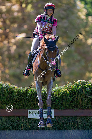 Houghton International
