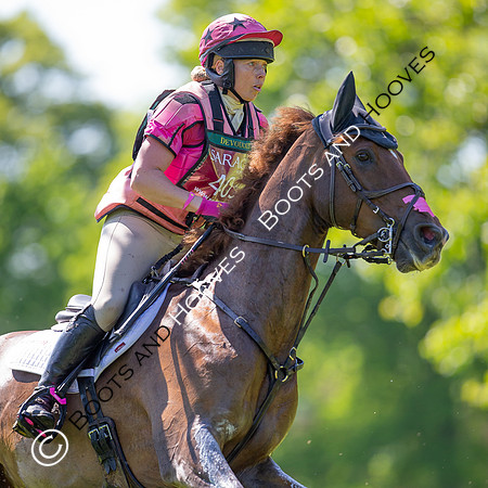 Houghton International