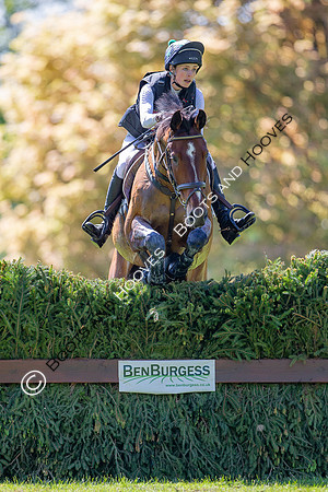 Houghton International