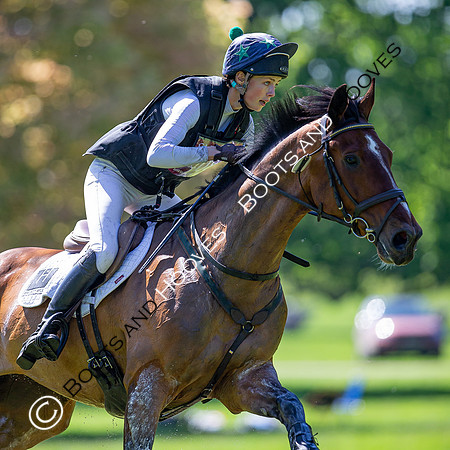 Houghton International
