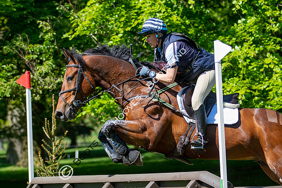 Houghton International