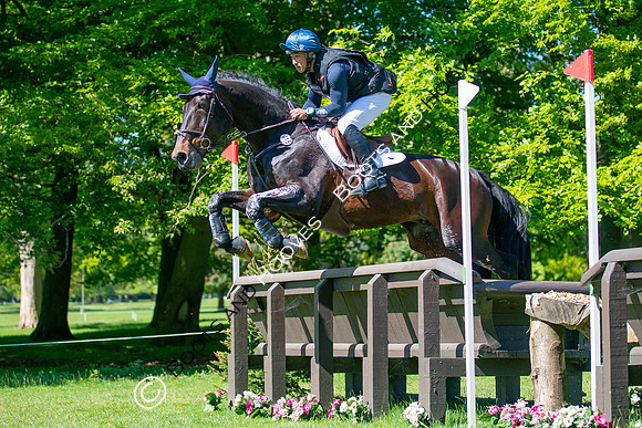 Houghton International