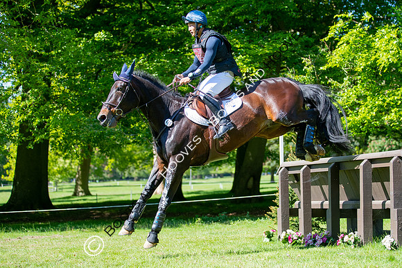 Houghton International