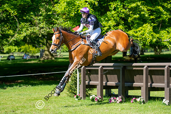 Houghton International