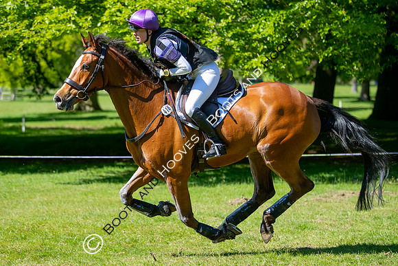 Houghton International