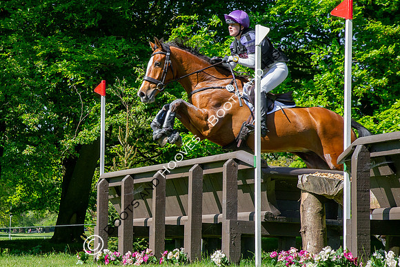 Houghton International